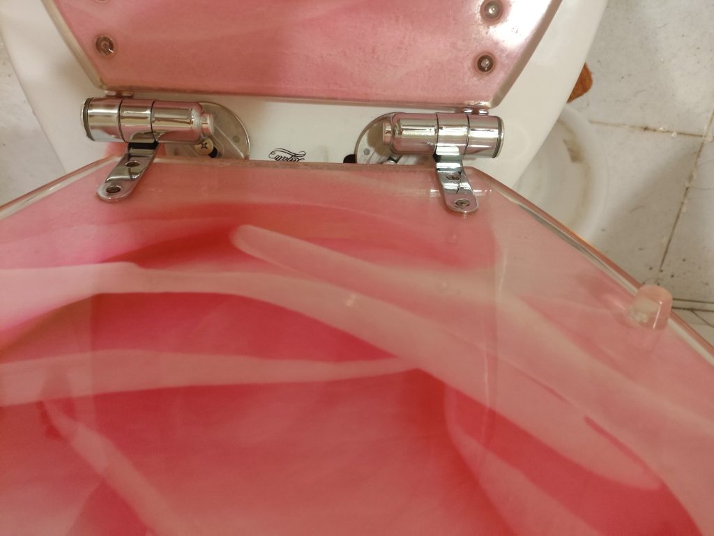 馬桶蓋轉接頭換新及重裝