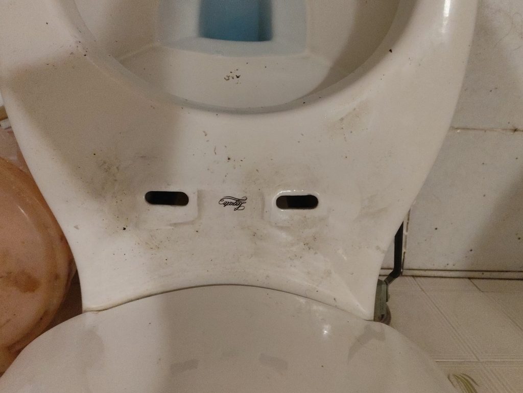 馬桶蓋轉接頭換新及重裝